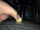 ������������� �����������